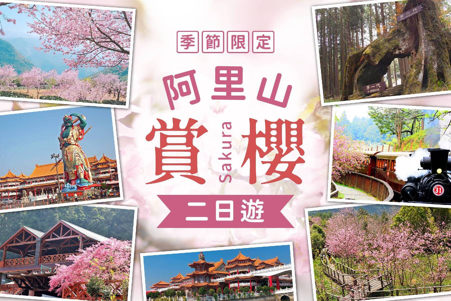 阿里山賞櫻二日遊1