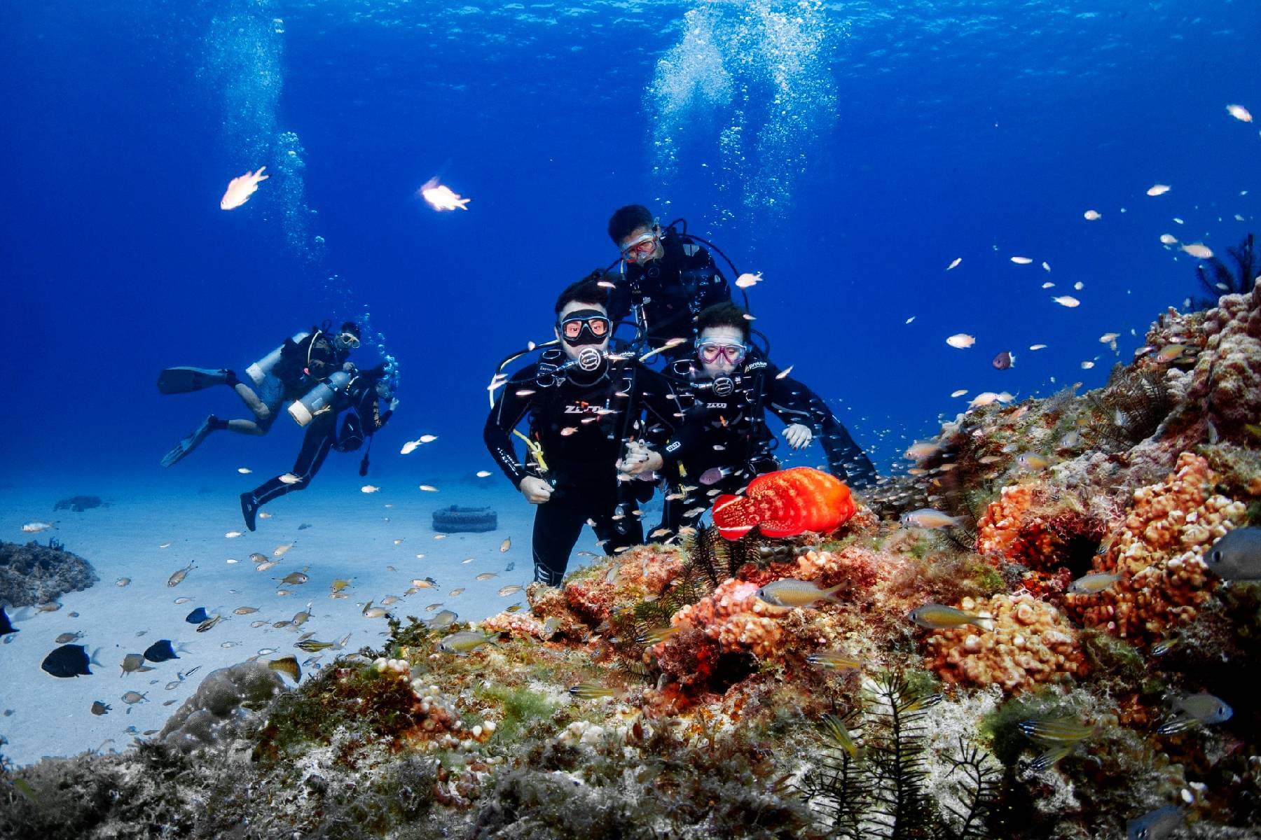 ○小琉球琉影潛水-潛水單人體驗券※贈送水底攝影12