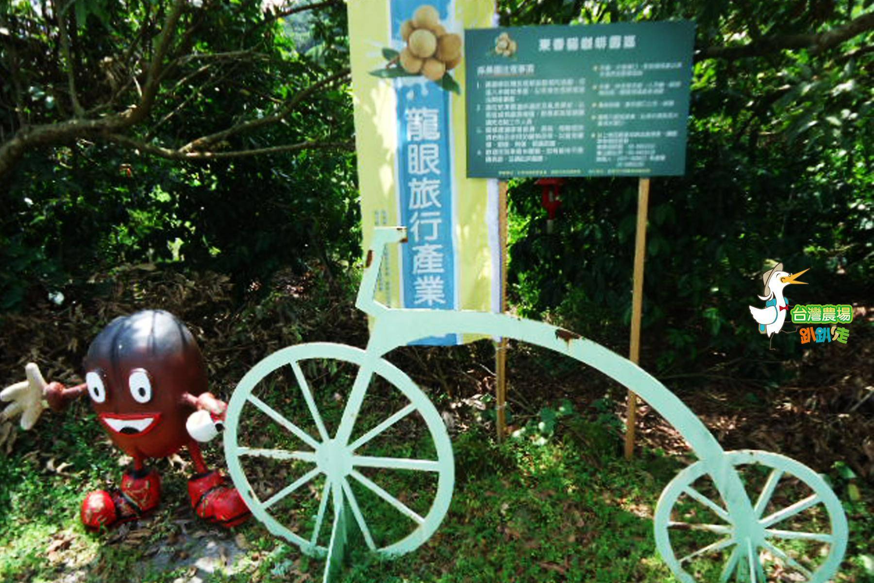 台南-東香貓咖啡園區-採果(龍眼)體驗券2