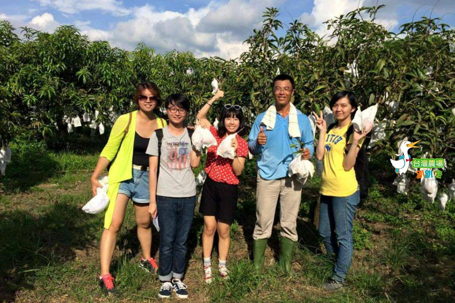 (舊)台南-小崇ㄉ果園-採果(芒果)體驗券9