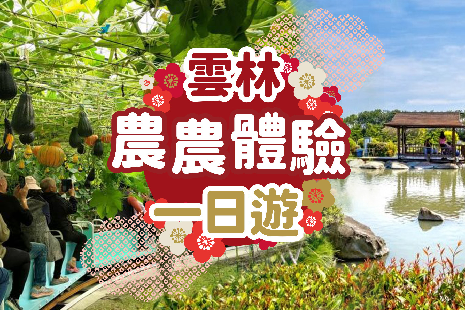 雲林農農體驗一日遊1