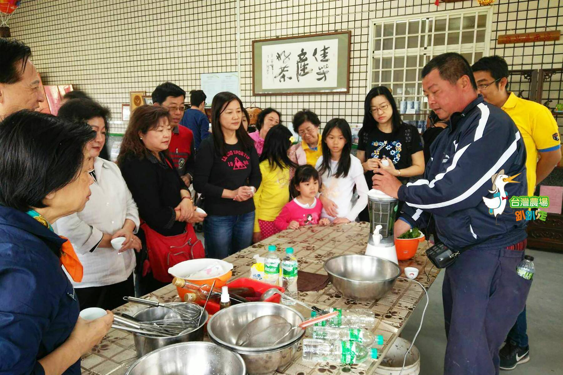 台東-初鹿休閒農業區-佳芳有機茶廠-農業體驗一日遊7