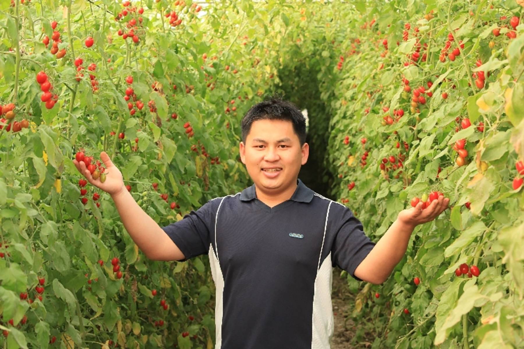 嘉義豐碩果園-採果體驗券7