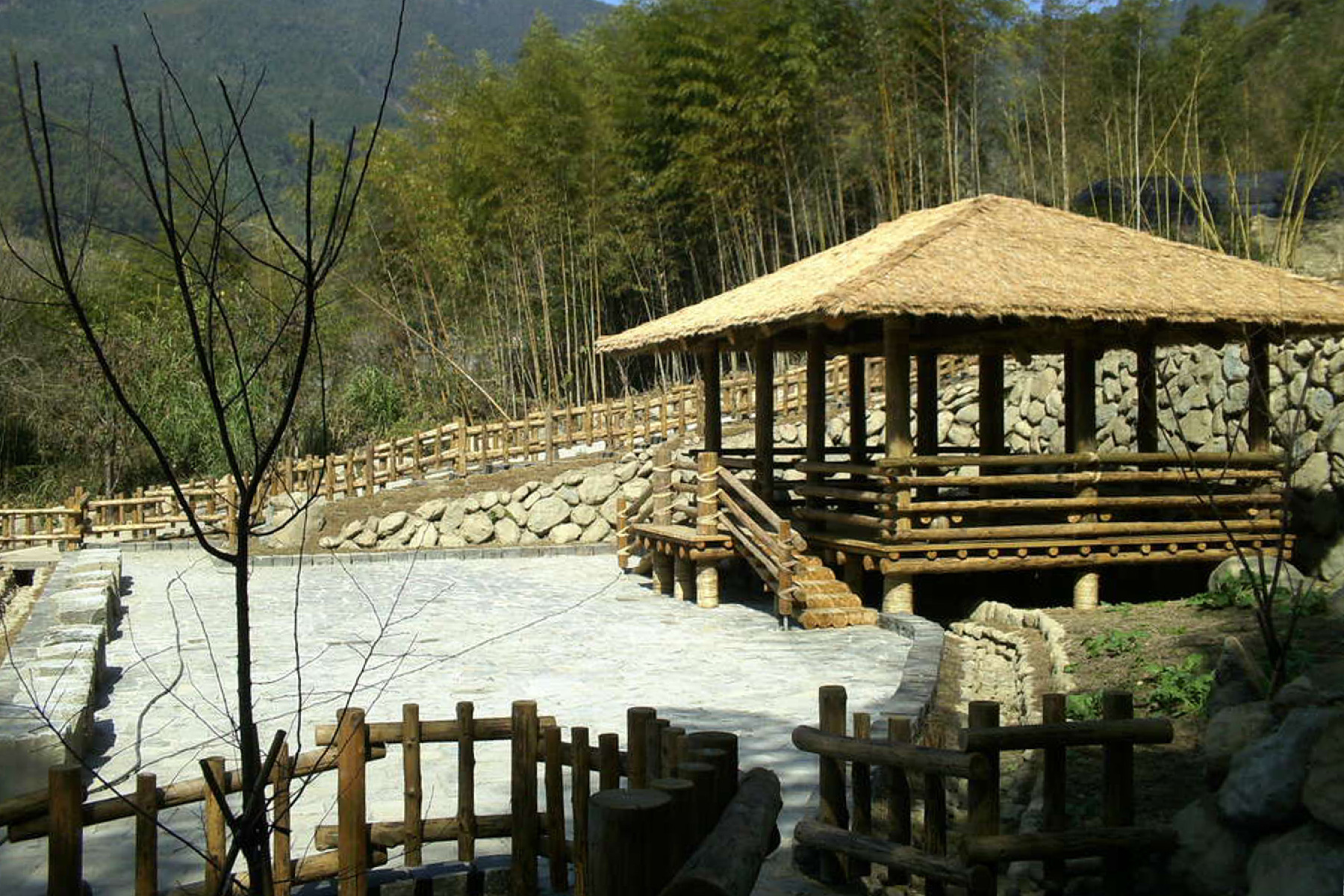來嘉走走~阿里山迷糊步道.奮起湖一日遊6