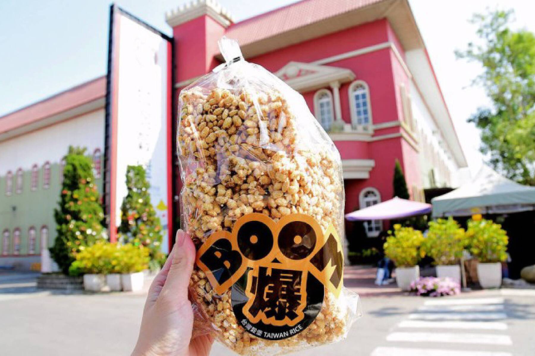 馬到金來廟廟桔祥走春二日遊5