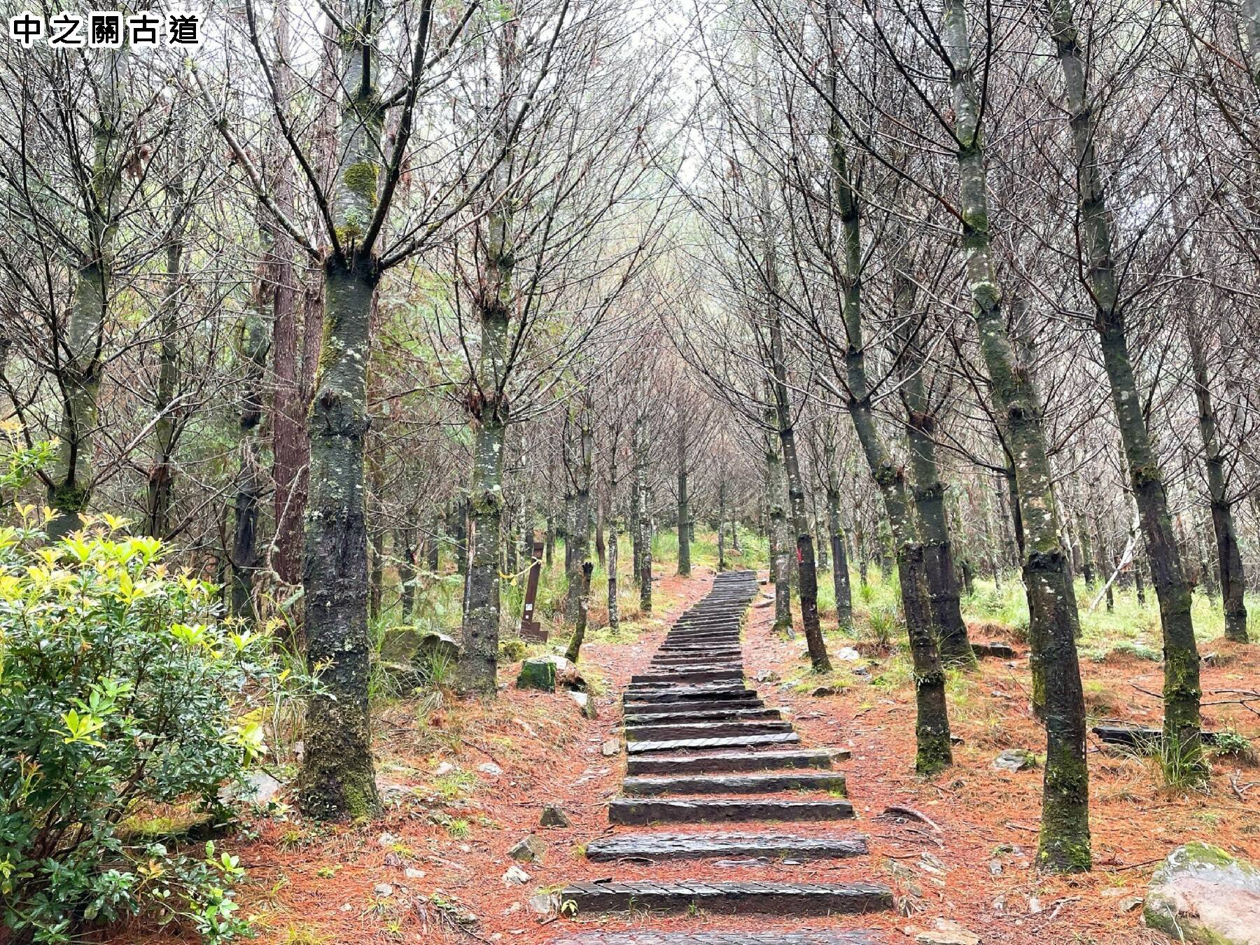 九人座輕旅行-南橫秘境．埡口中之關二日遊14