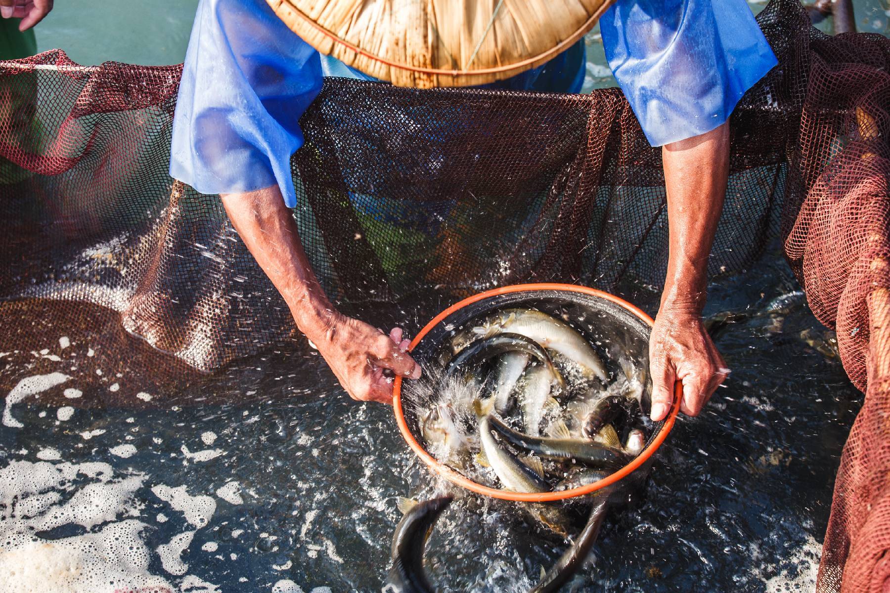 宜蘭八甲休閒魚場-咔滋香魚堡DIY體驗券(最少4人成行)4