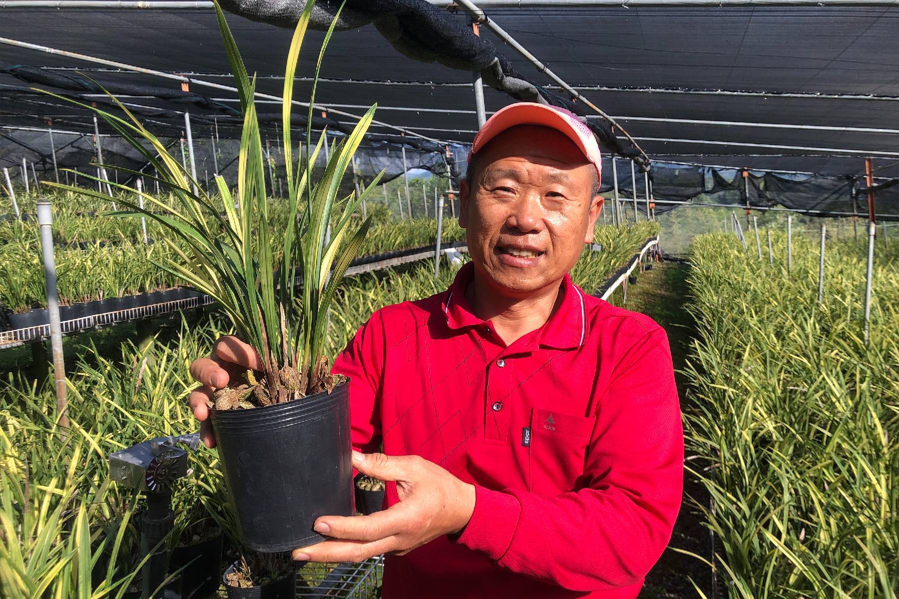 台中可苗花園休閒農場-蘭花組盆DIY體驗券(最少5人成行)6