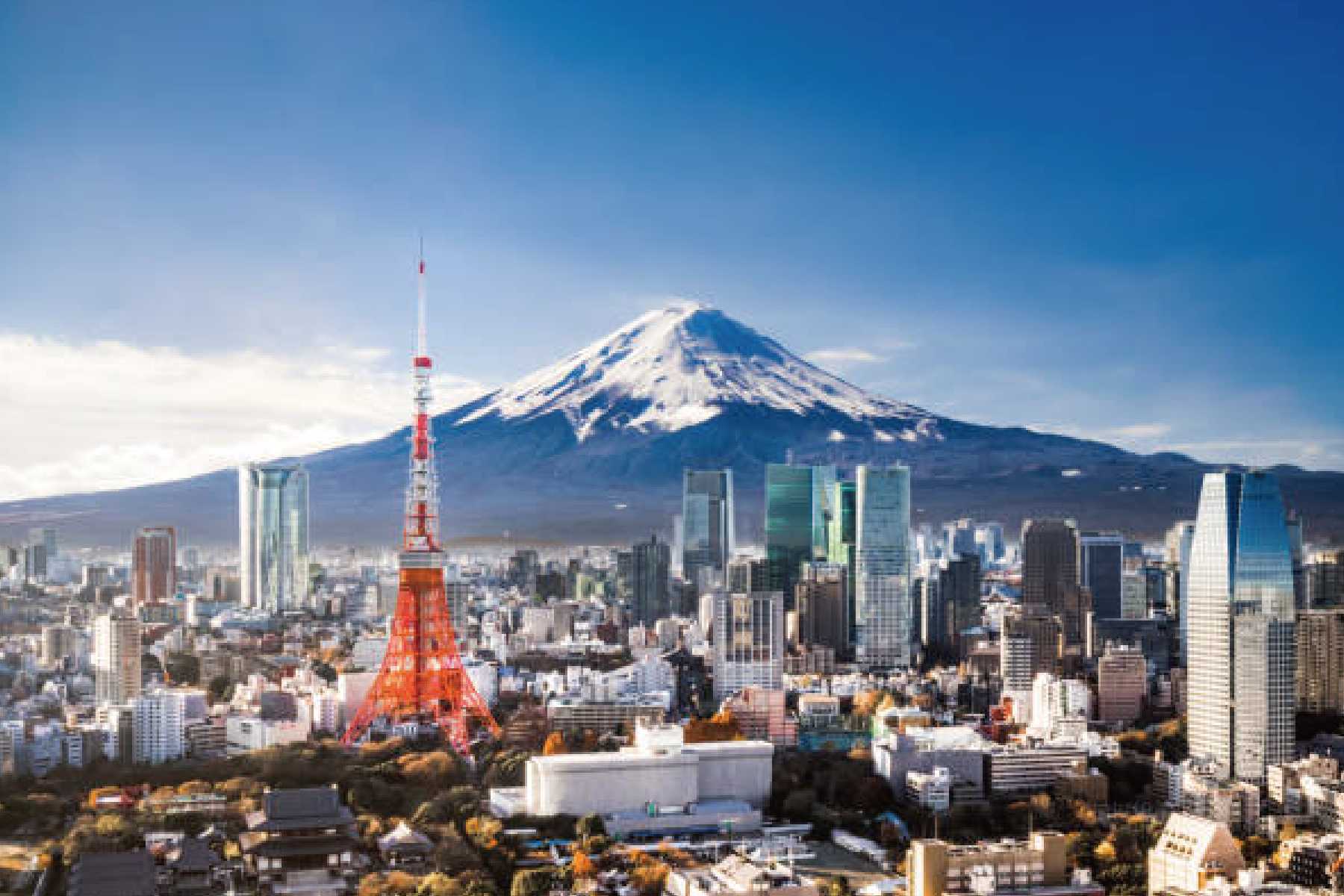 東京自由行機加酒五日(桃園出發)3