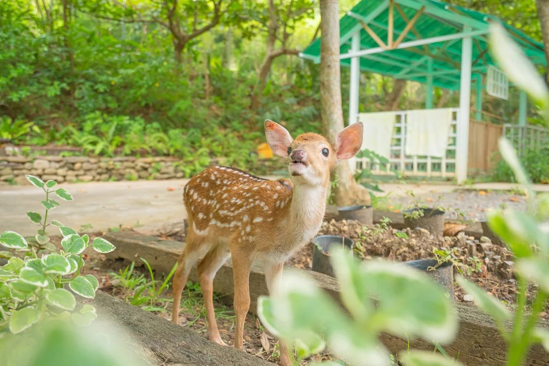 馬上開運~高山巖福德宮+恆春古城魅力商圈+阿信巧克力農場1日3