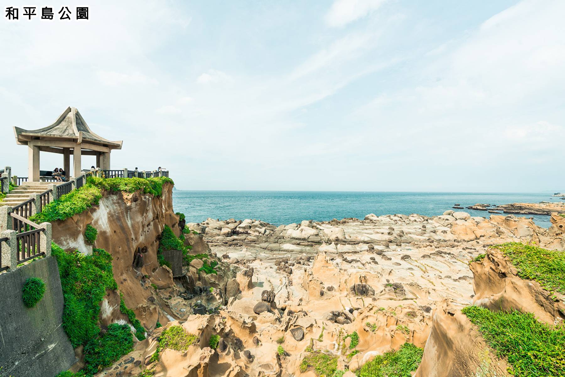 冬季旅遊補助GO-基隆和平島台北士林賞菊二日遊7