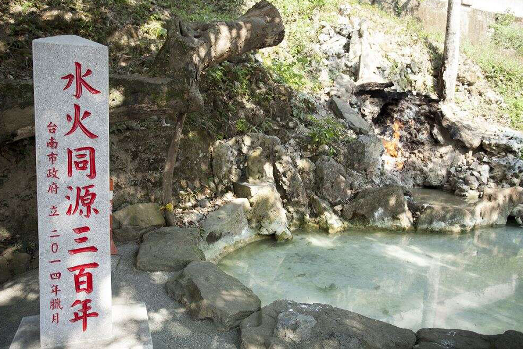 ~暑假芒什麼~台南採果一日遊9
