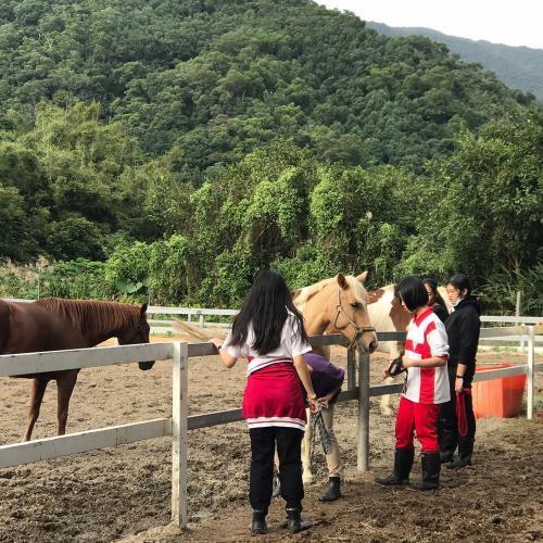 宜蘭【外澳小山丘馬場】山海騎乘體驗(MO)7