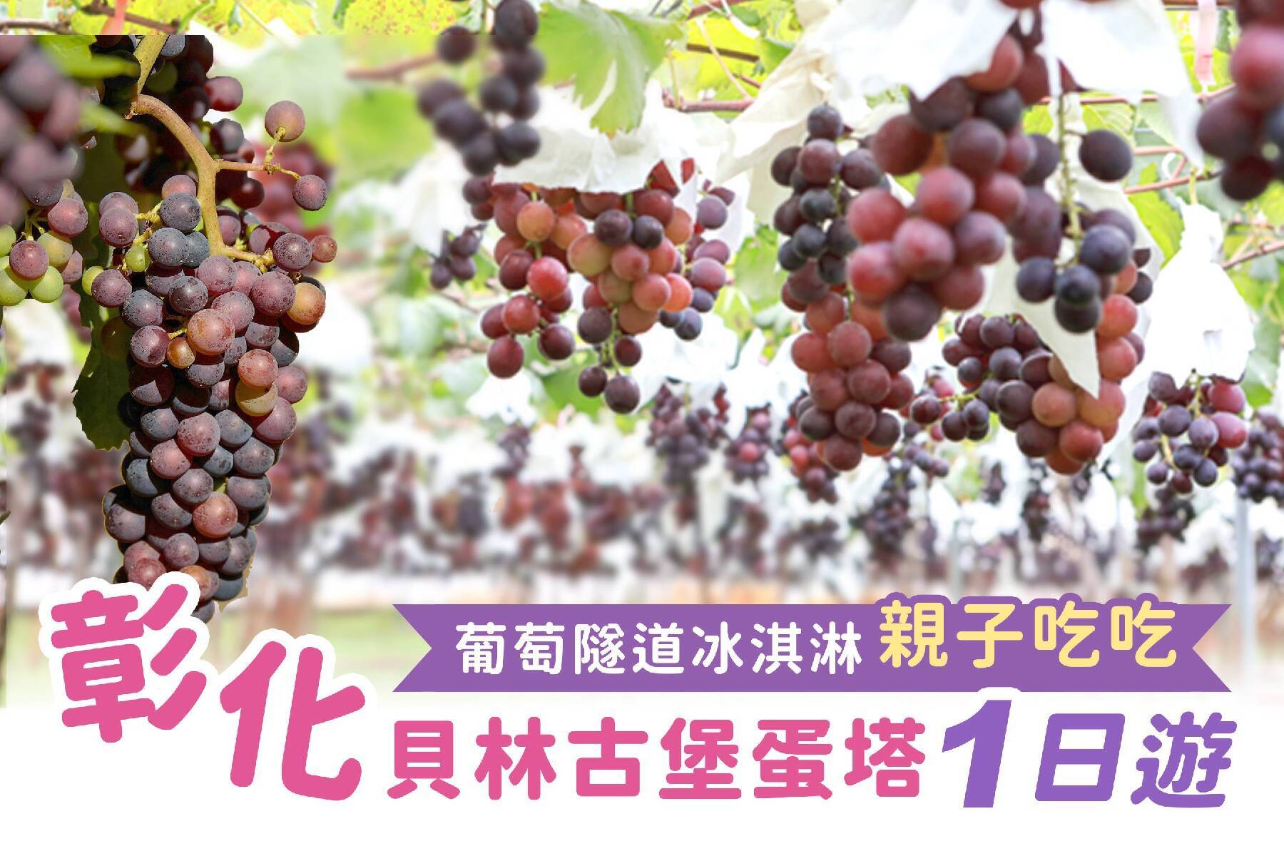 彰化貝林古堡蛋塔 葡萄隧道冰淇淋親子吃吃一日遊1