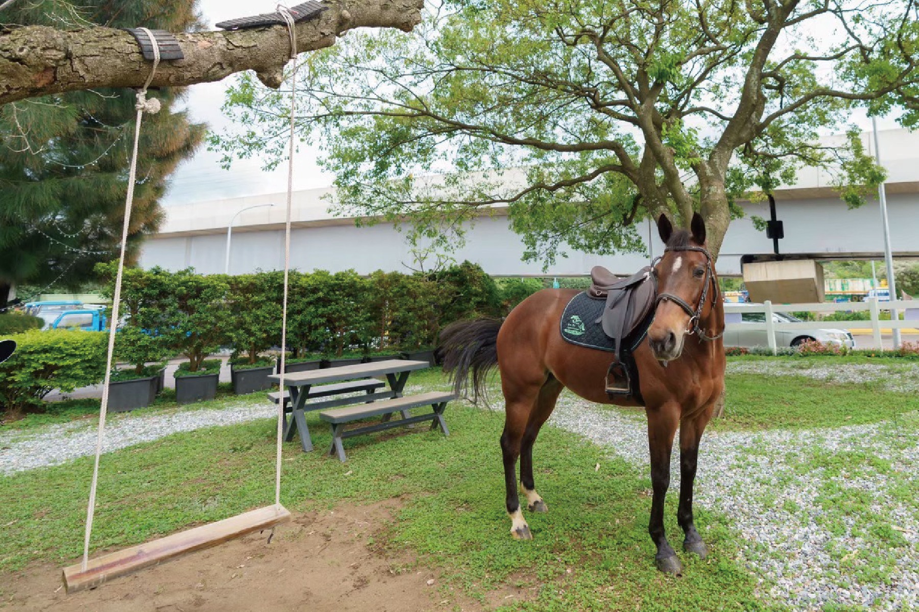 ｜淡水綠野馬術輕奢生活體驗券6