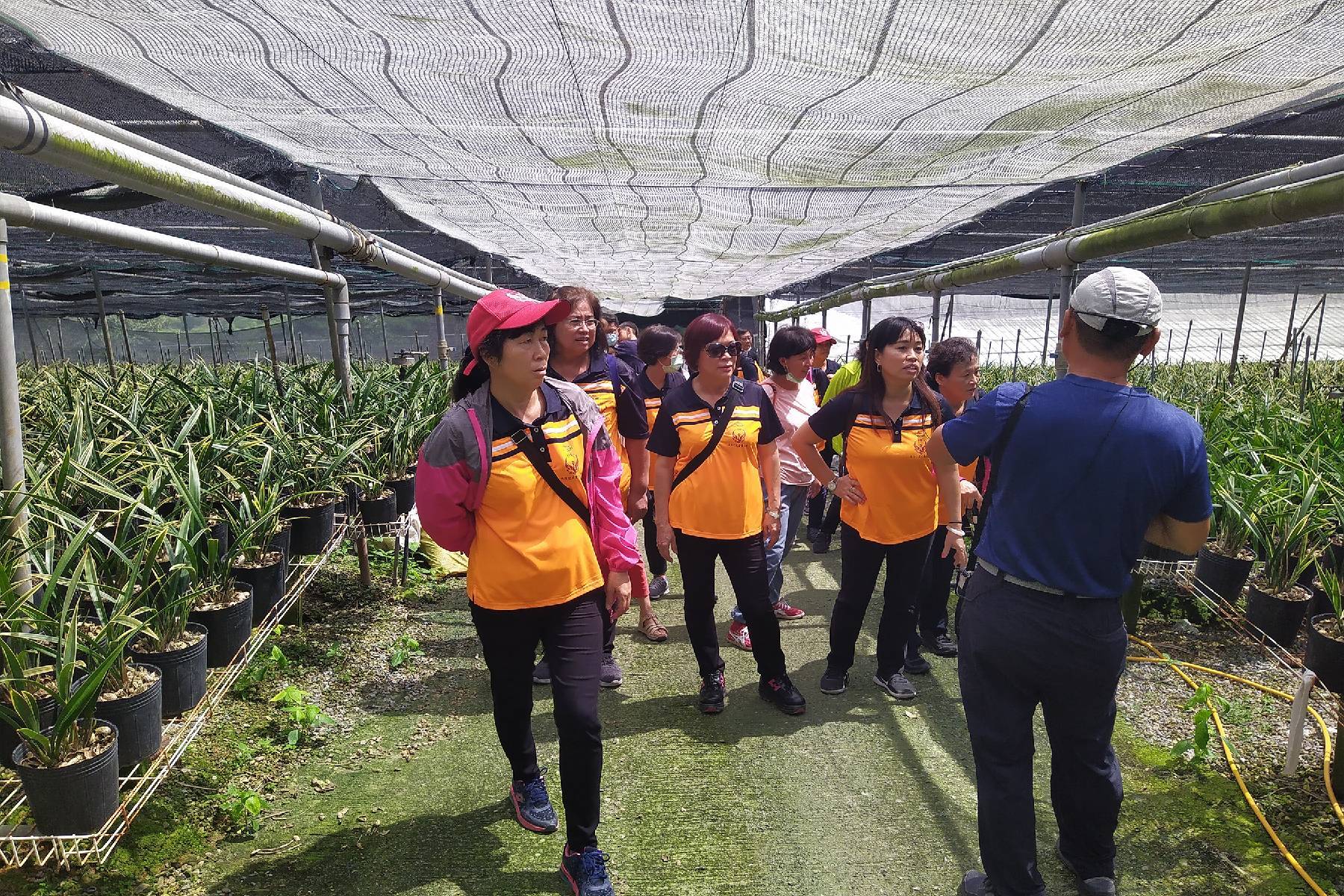 台中可苗花園休閒農場-蘭花組盆DIY體驗券(最少5人成行)3