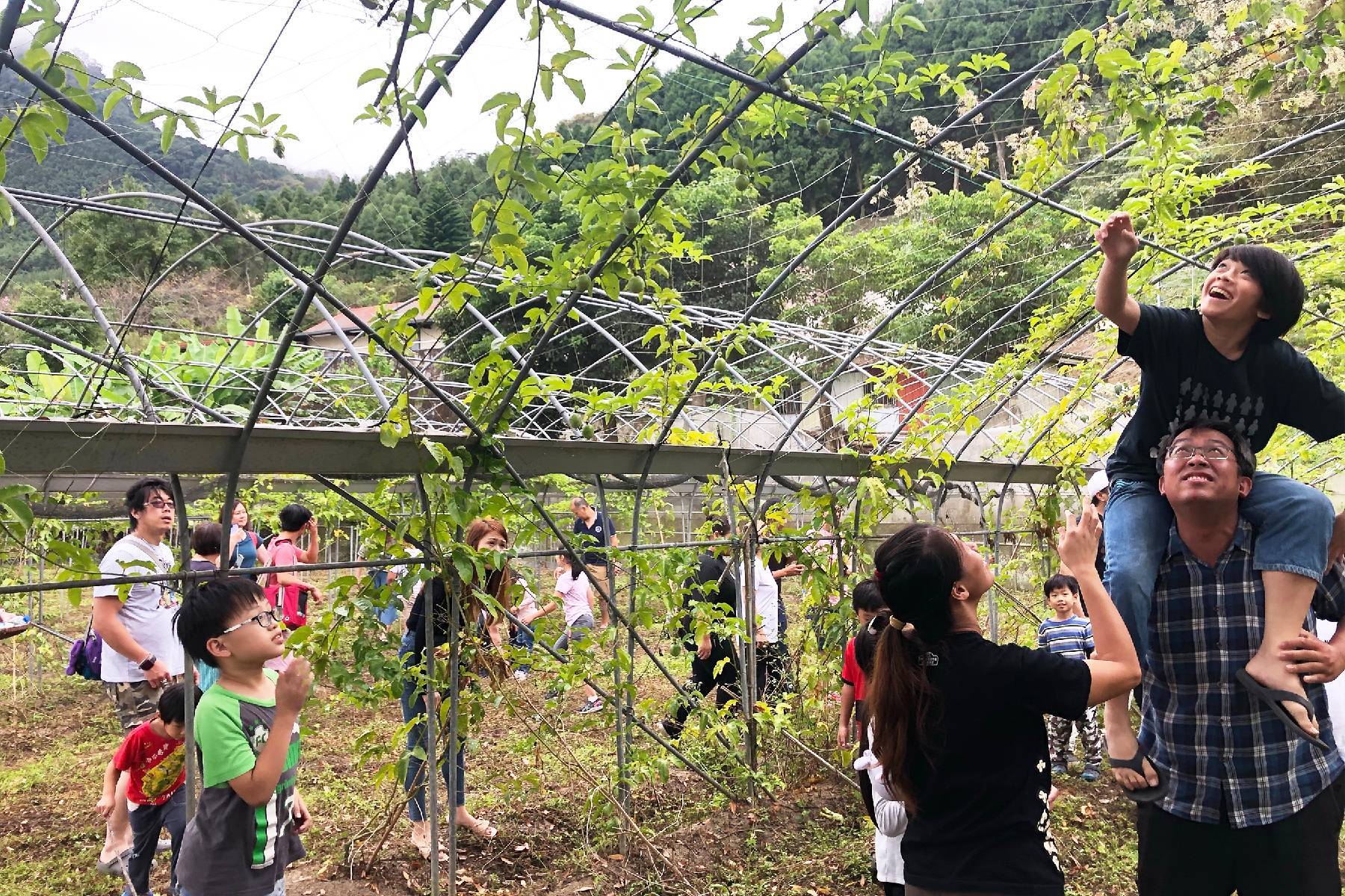 新竹馬賴農場-採果(百香果、甜柿)體驗券2