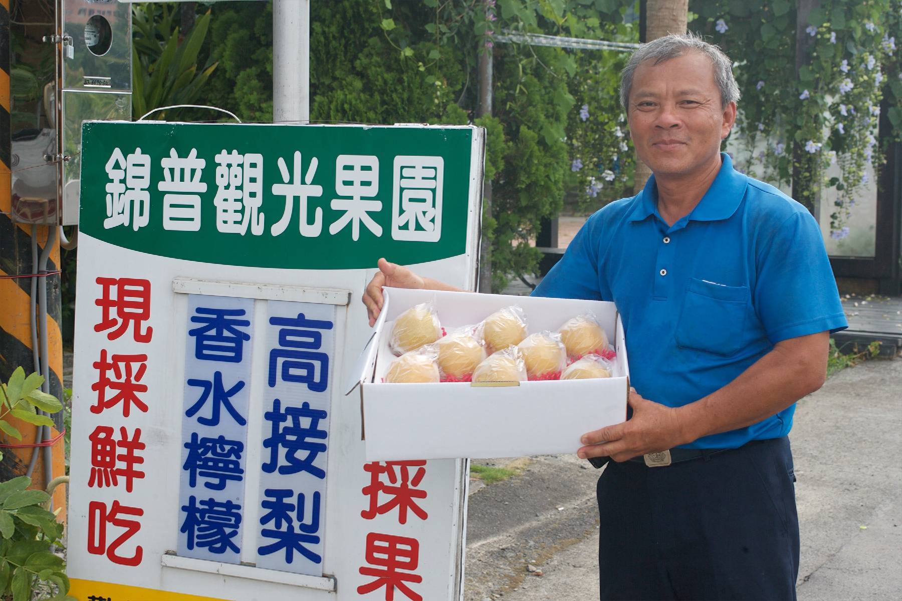 宜蘭錦普觀光果園-採果體驗券(最少2人成行)1