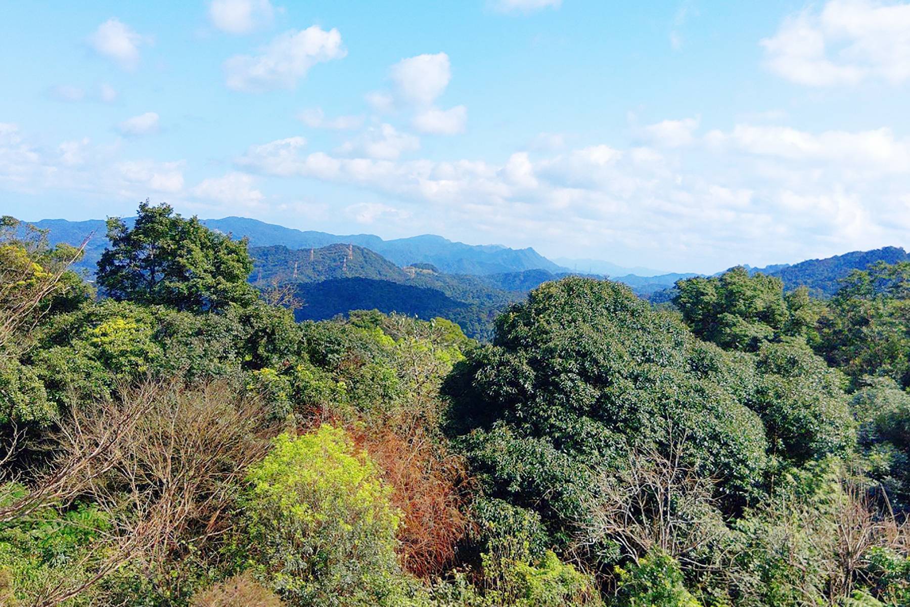 青山香草教育農園-假日香草午茶套餐券3