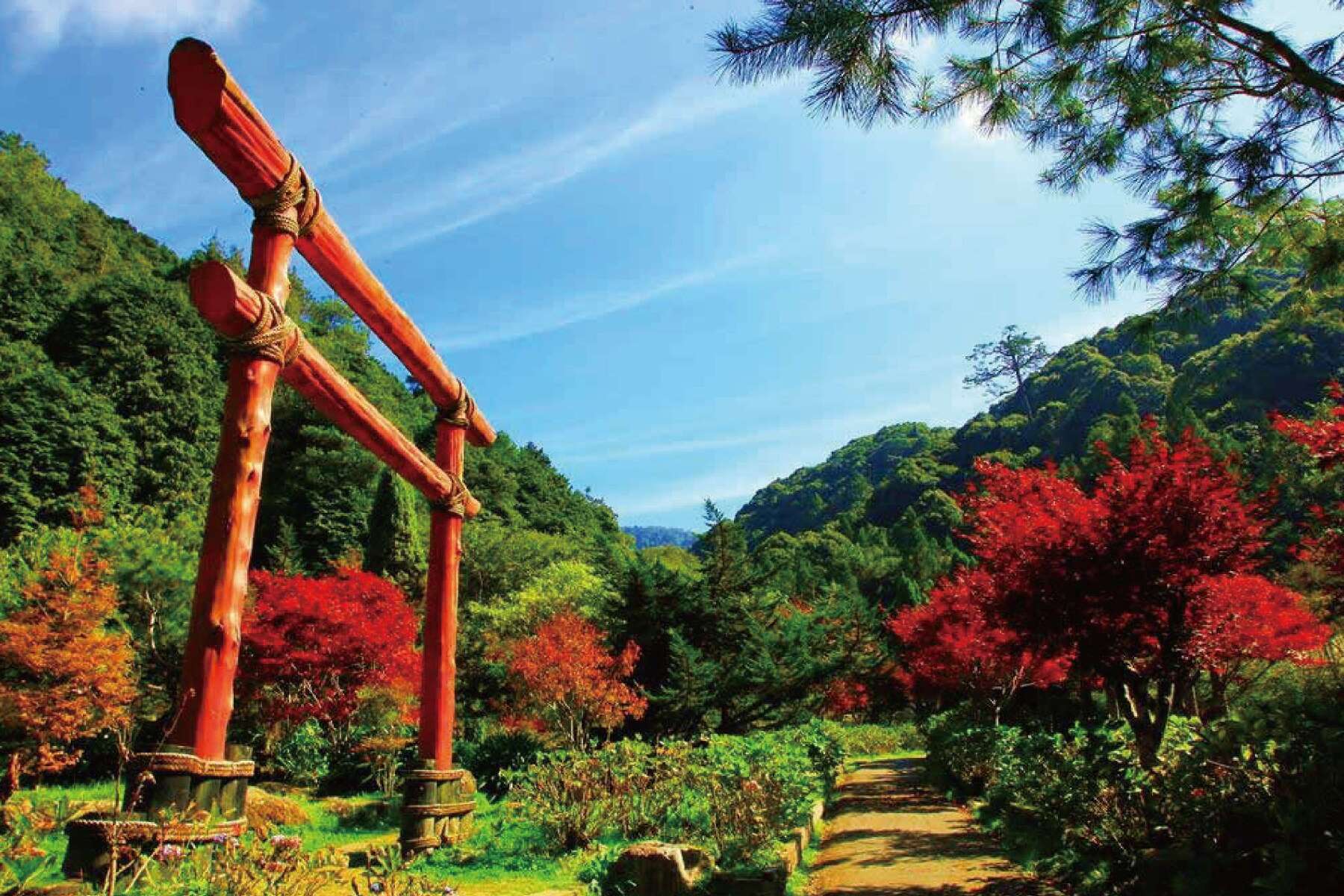 杉林溪追楓一日遊3
