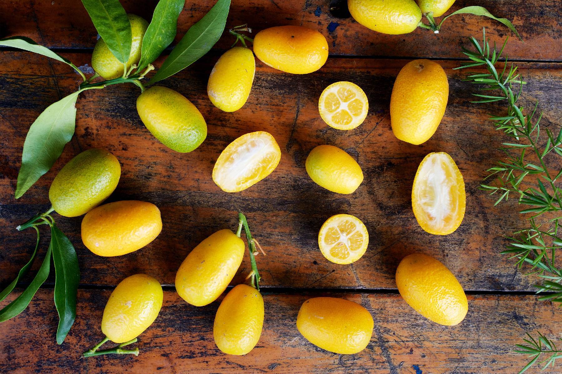 宜蘭頭城休閒農場-農夫一日遊券2