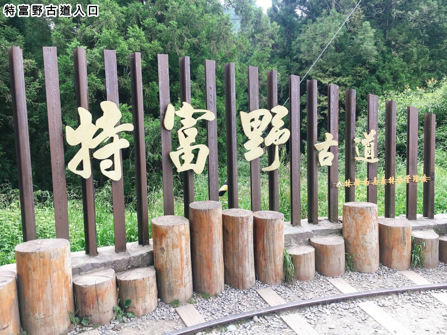 沉寂水山線 特富野古道健行一日遊7