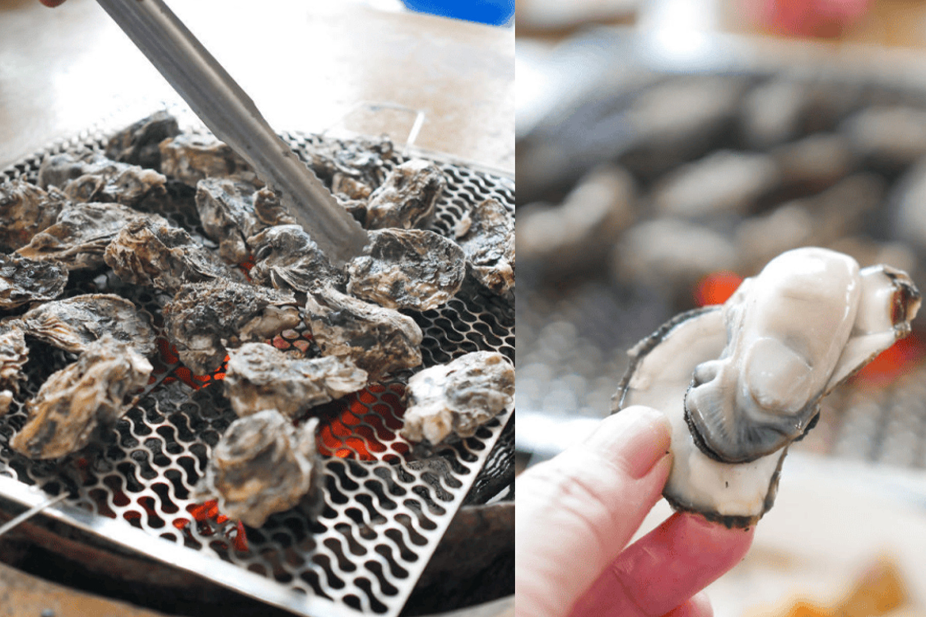 南臺灣七股 海海嘗鮮一日遊4