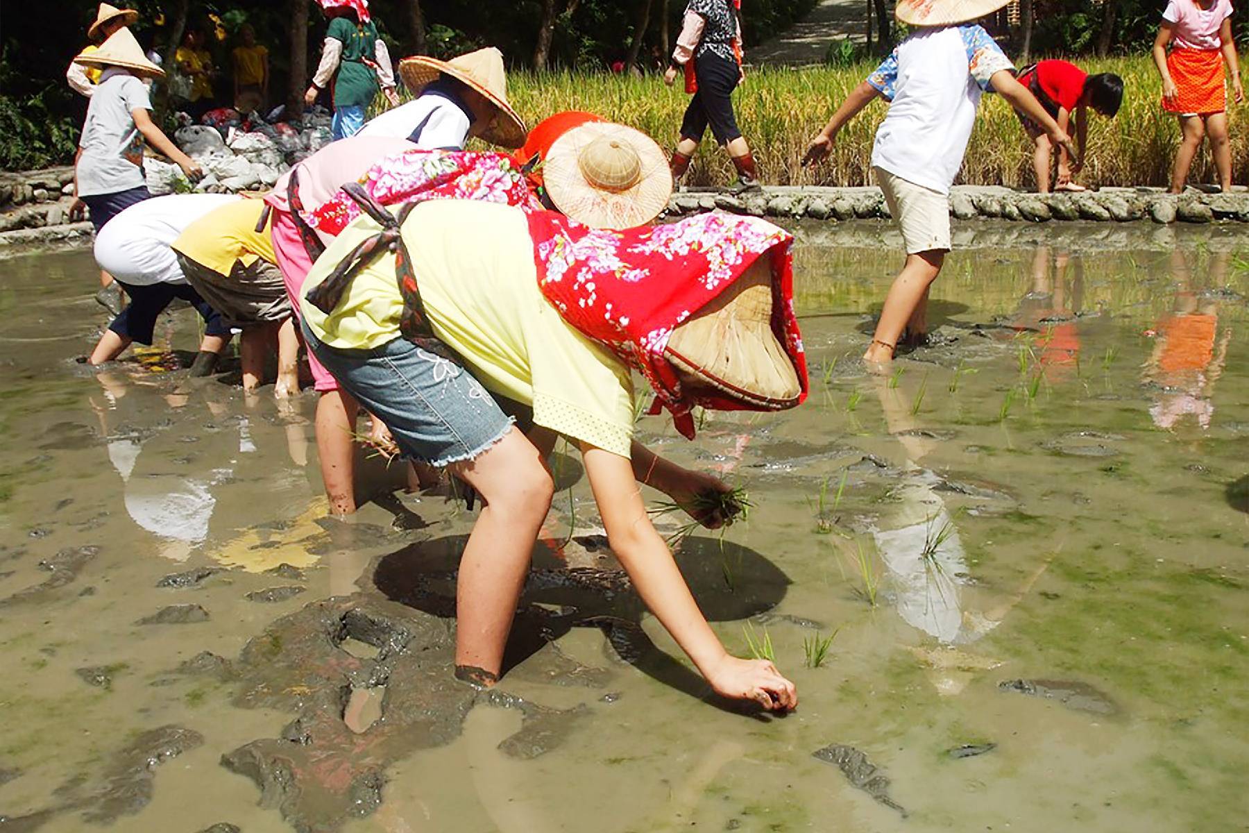 宜蘭頭城休閒農場-農夫一日遊券4