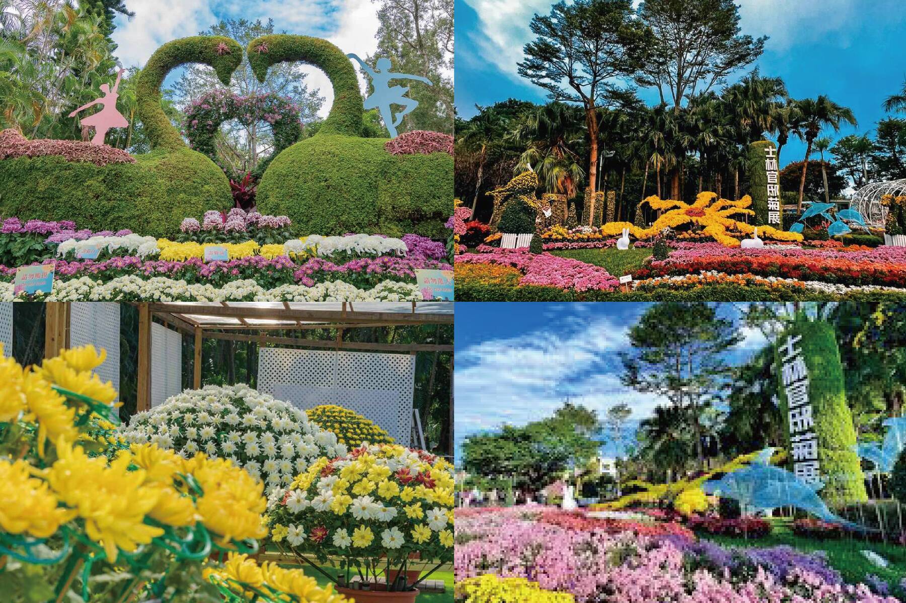 北台灣深奧鐵道自行車 九份山城二日遊3