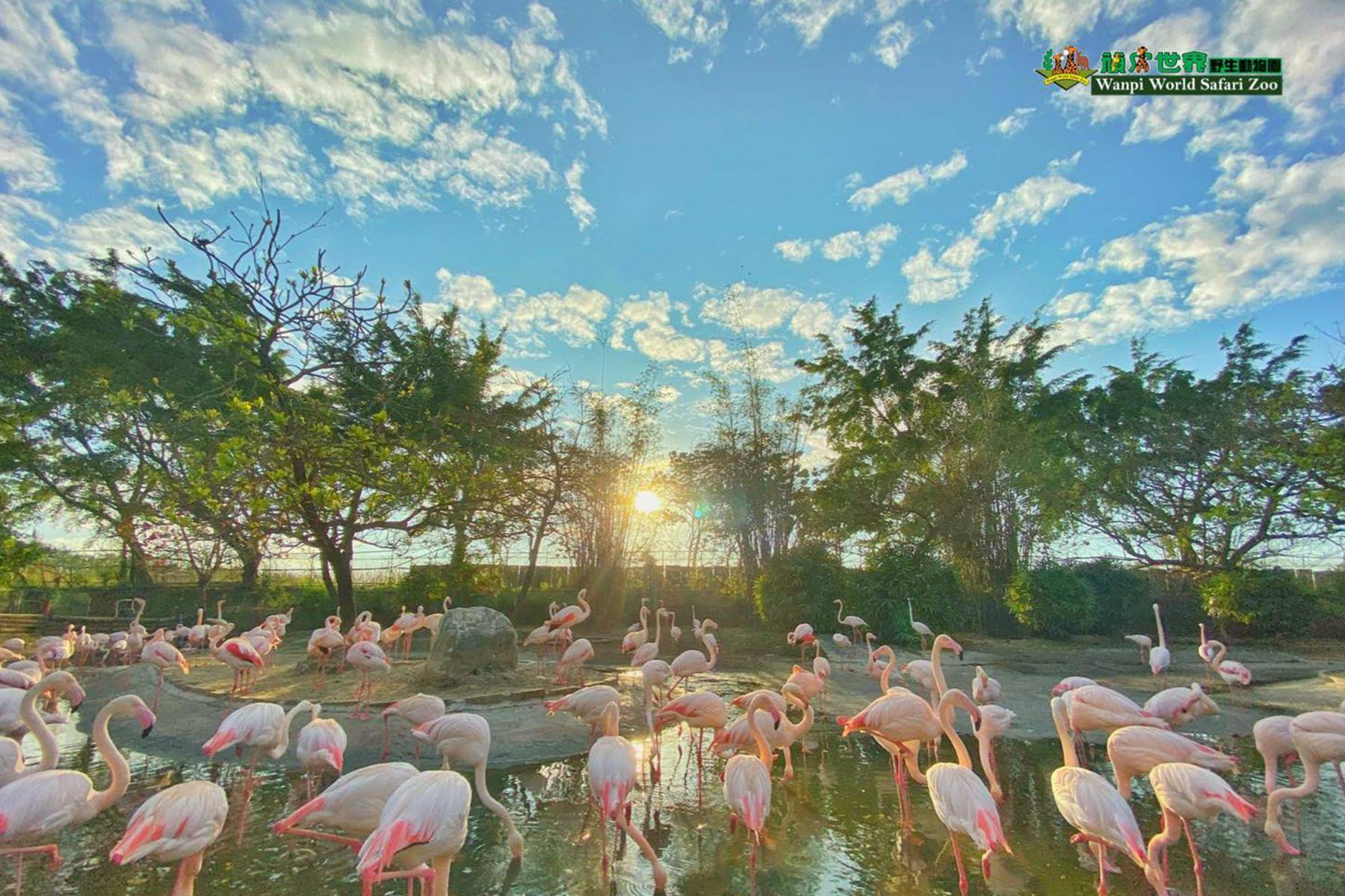 頑皮世界野生動物園4