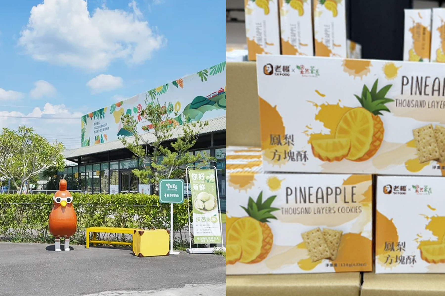 來嘉走走~阿里山迷糊步道.奮起湖一日遊17