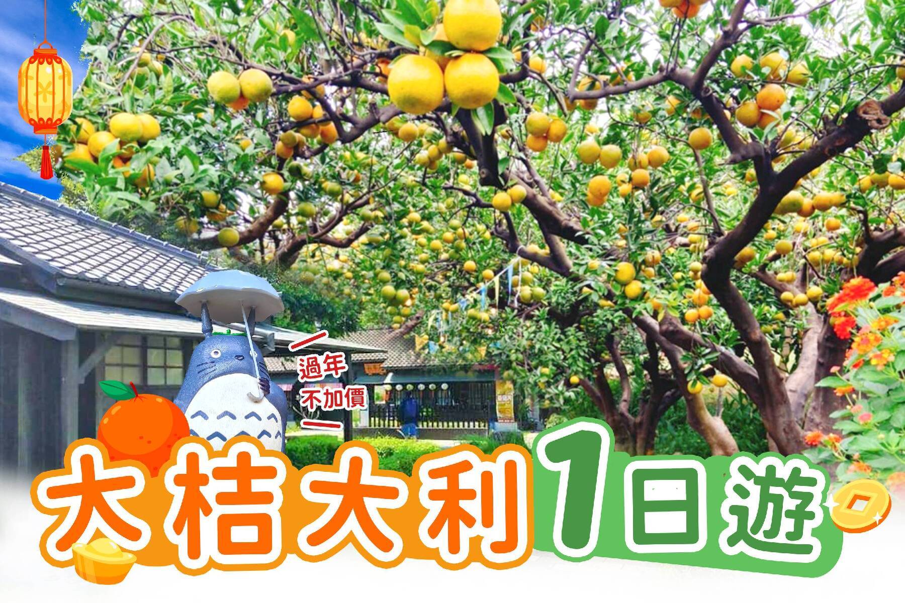 大桔大利放鬆一日遊1