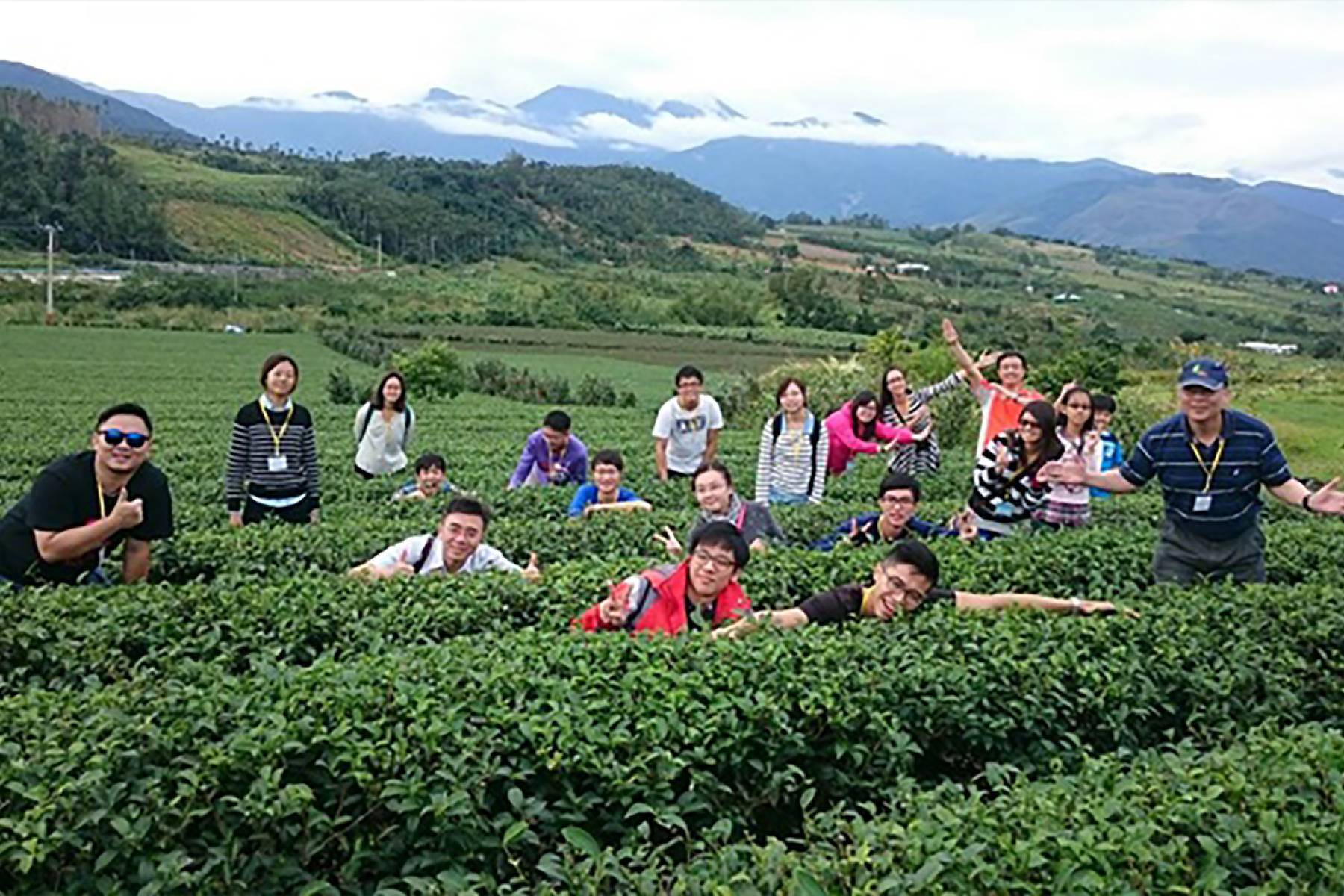 台東佳芳有機茶園-有機茶之旅體驗券(最少6人成行)1