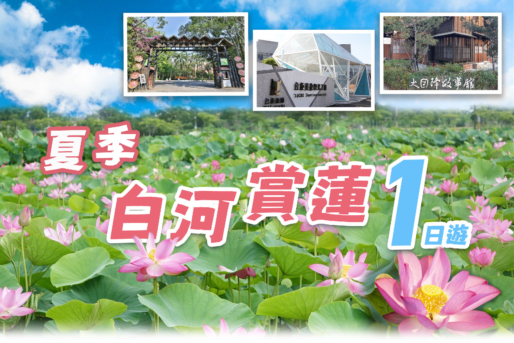 夏季白河賞蓮一日遊1