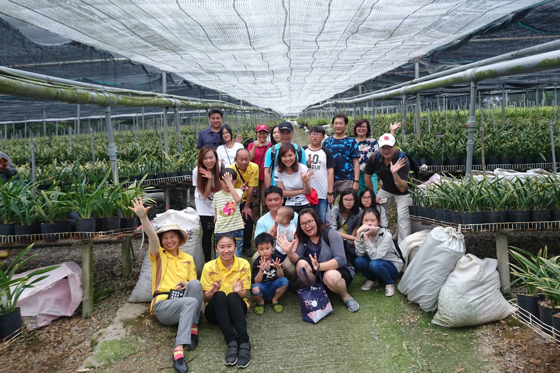 台中可苗花園休閒農場-蘭花組盆DIY體驗券(最少5人成行)4