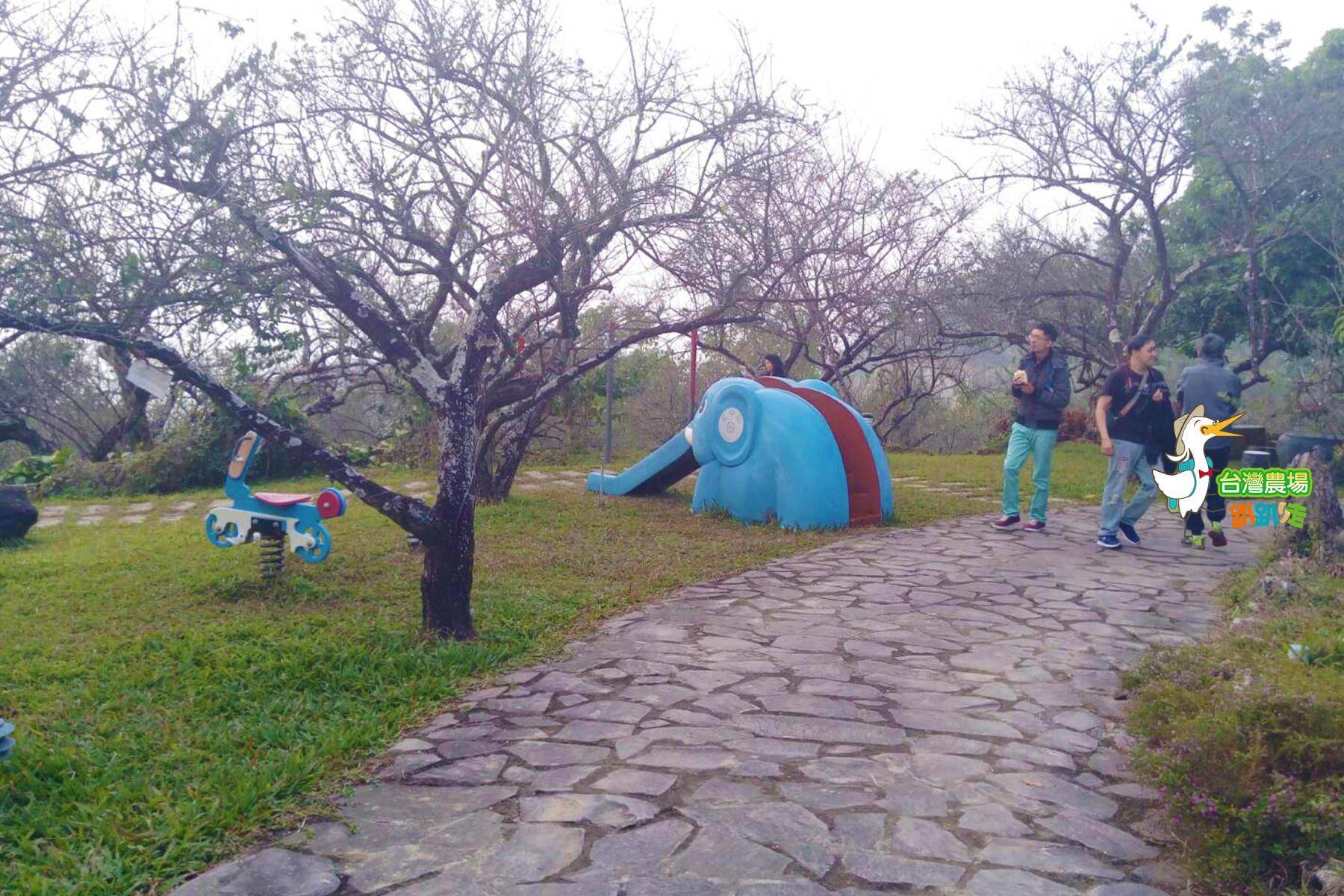 (舊)台南-梅嶺福來梅園-採果(梅子、桃子)體驗券6