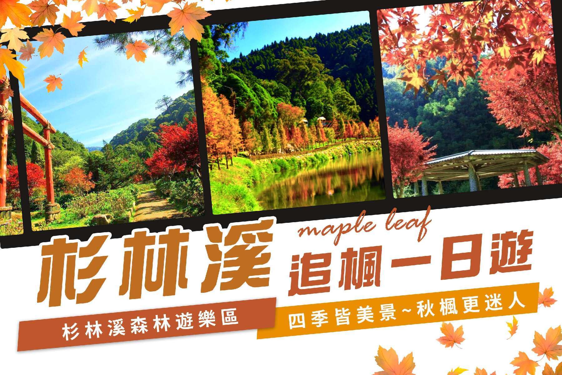 杉林溪追楓一日遊1