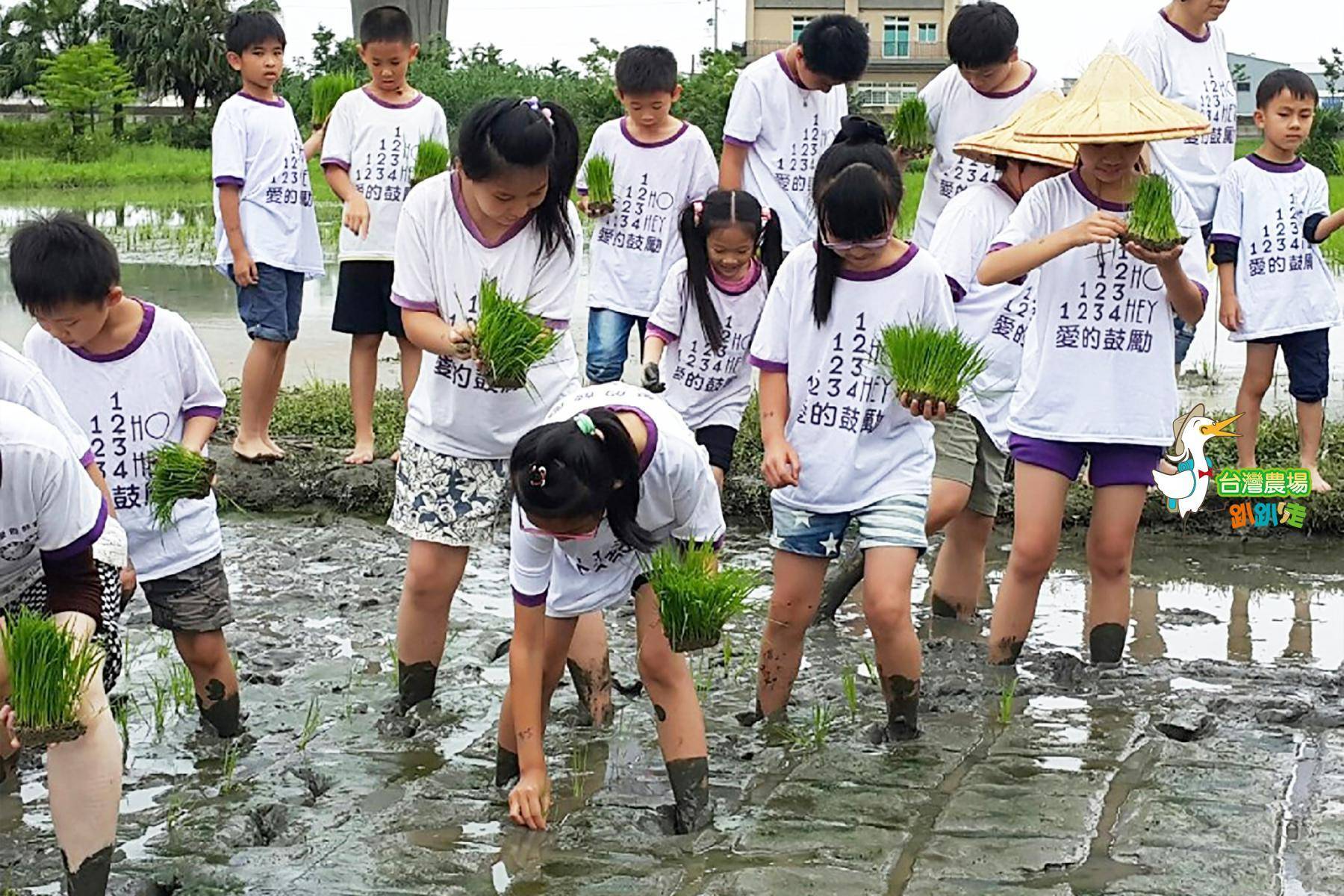 宜蘭-麗野莊園休閒農場-農業體驗一日遊8