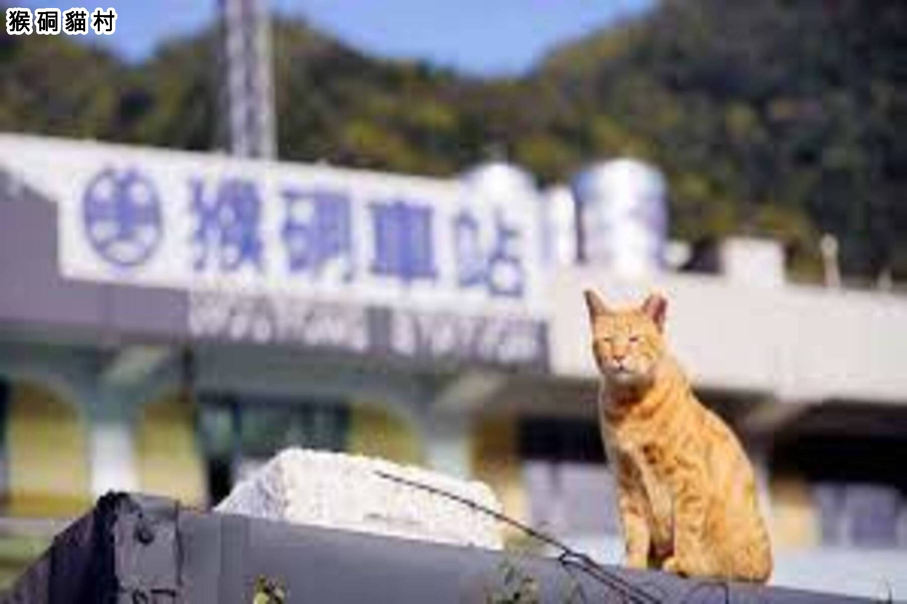 夏季坐火車遊台灣環島五日8