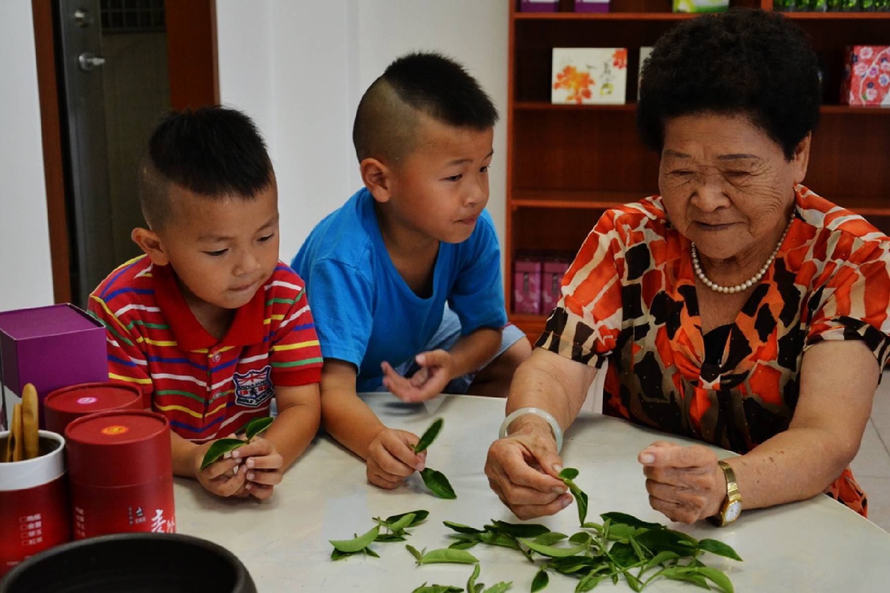 宜蘭星源茶園-評茶/製茶體驗券(最少4人成行)6