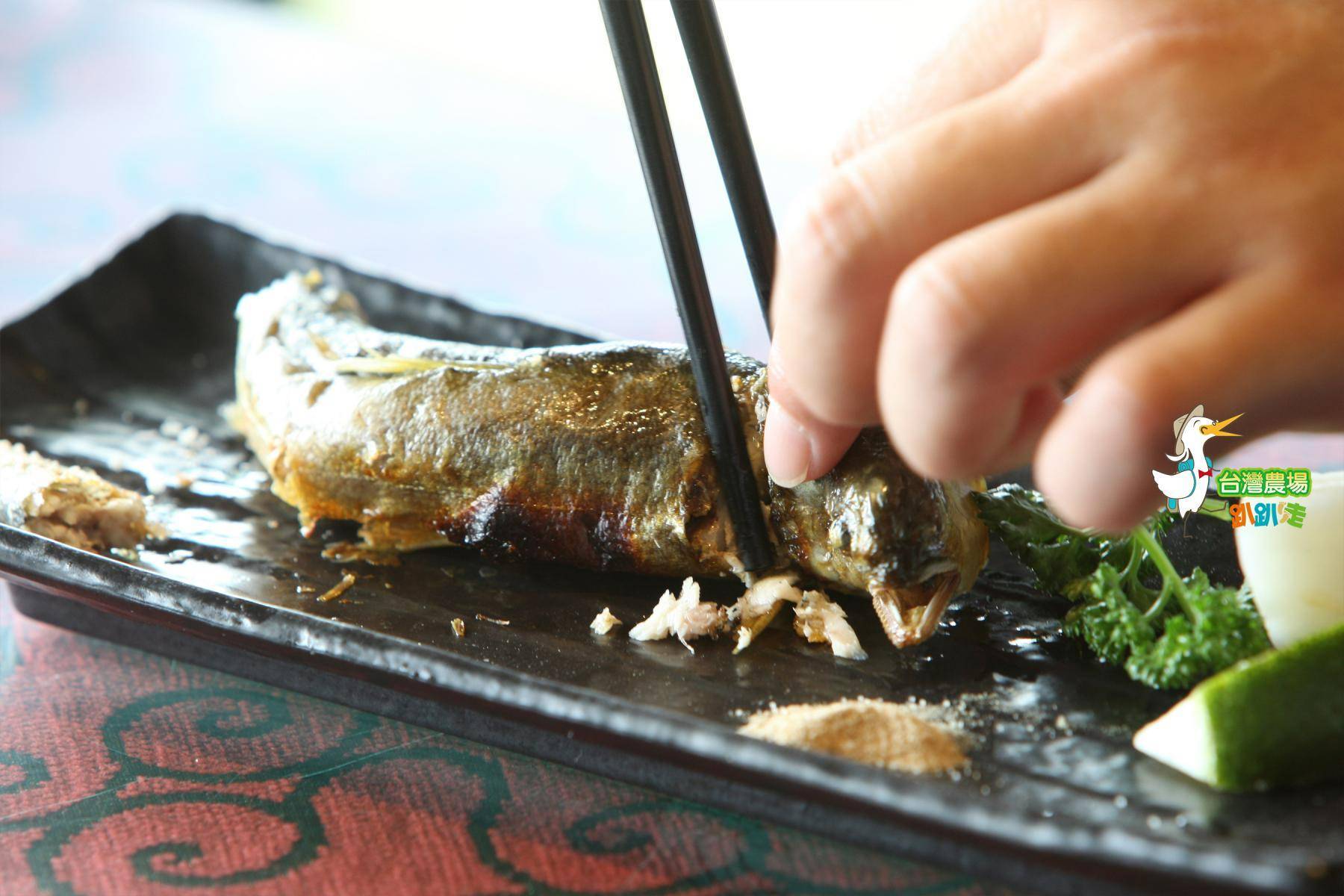 宜蘭-八甲休閒魚場-田園美食一日遊8