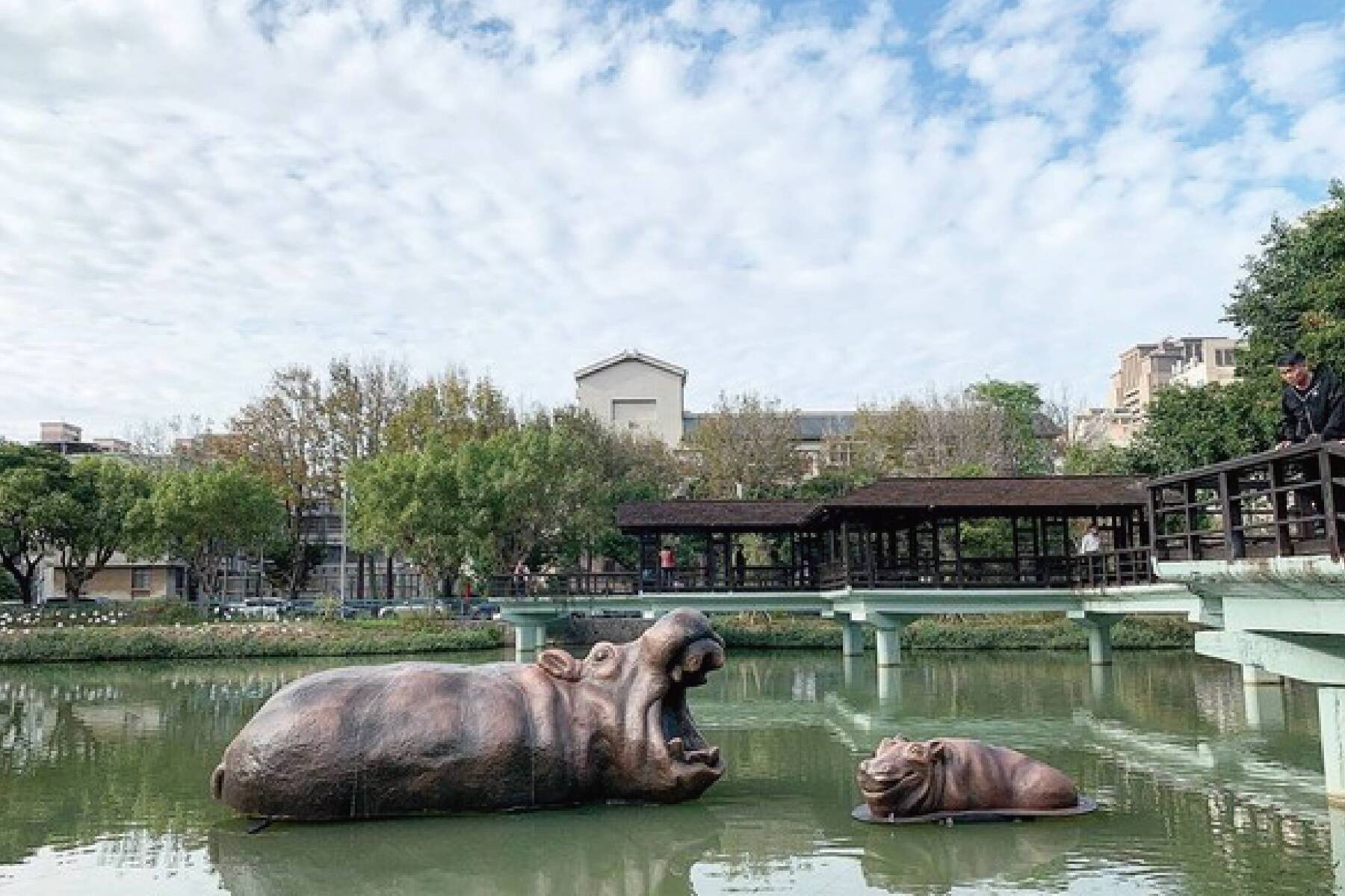 新竹峨眉湖、動物園悠遊2日9