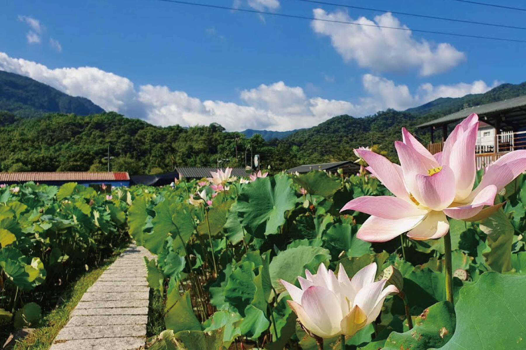 上山下海遊東北角3日7