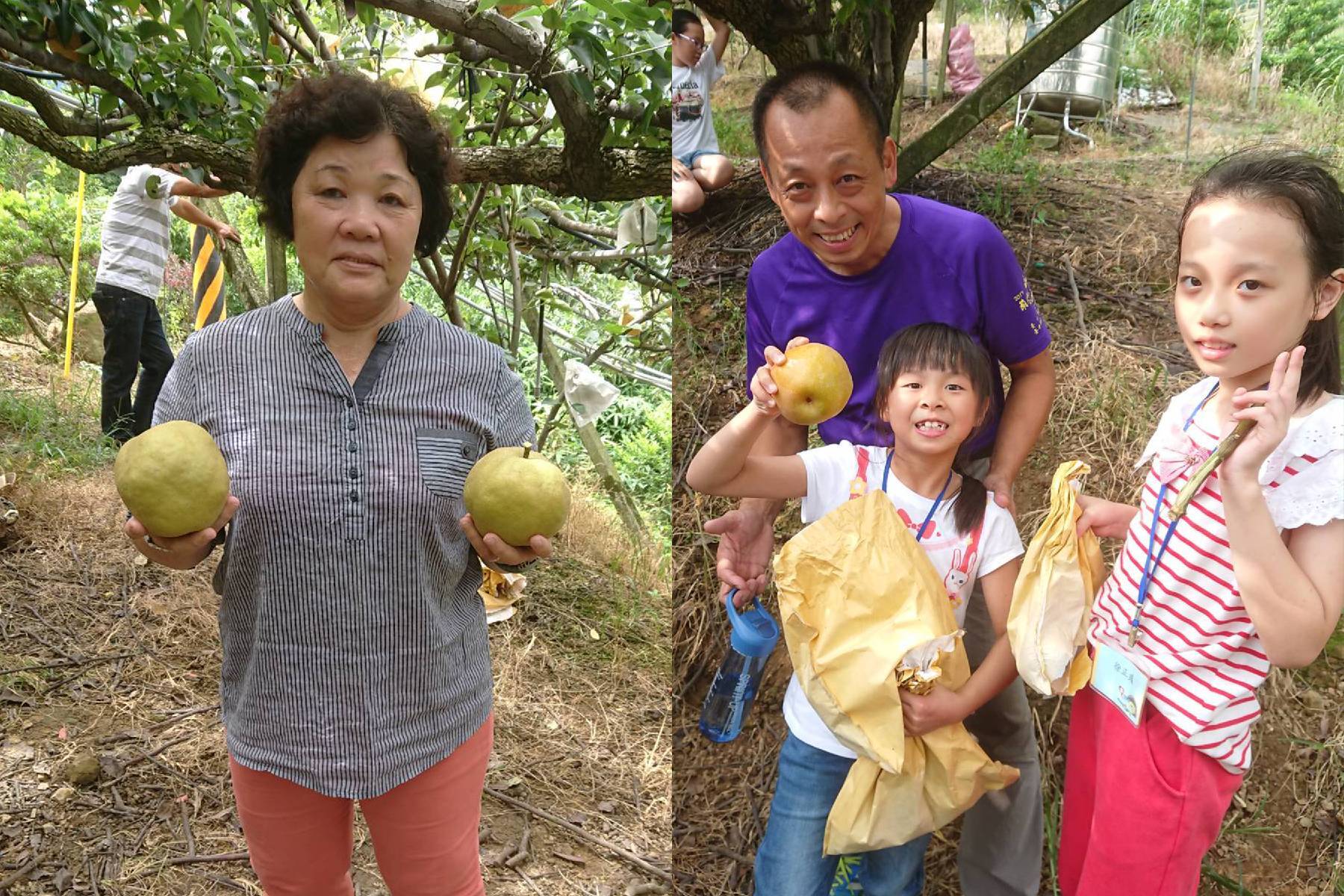 台中擁葉生態農場-平日五人房B套裝住宿券17