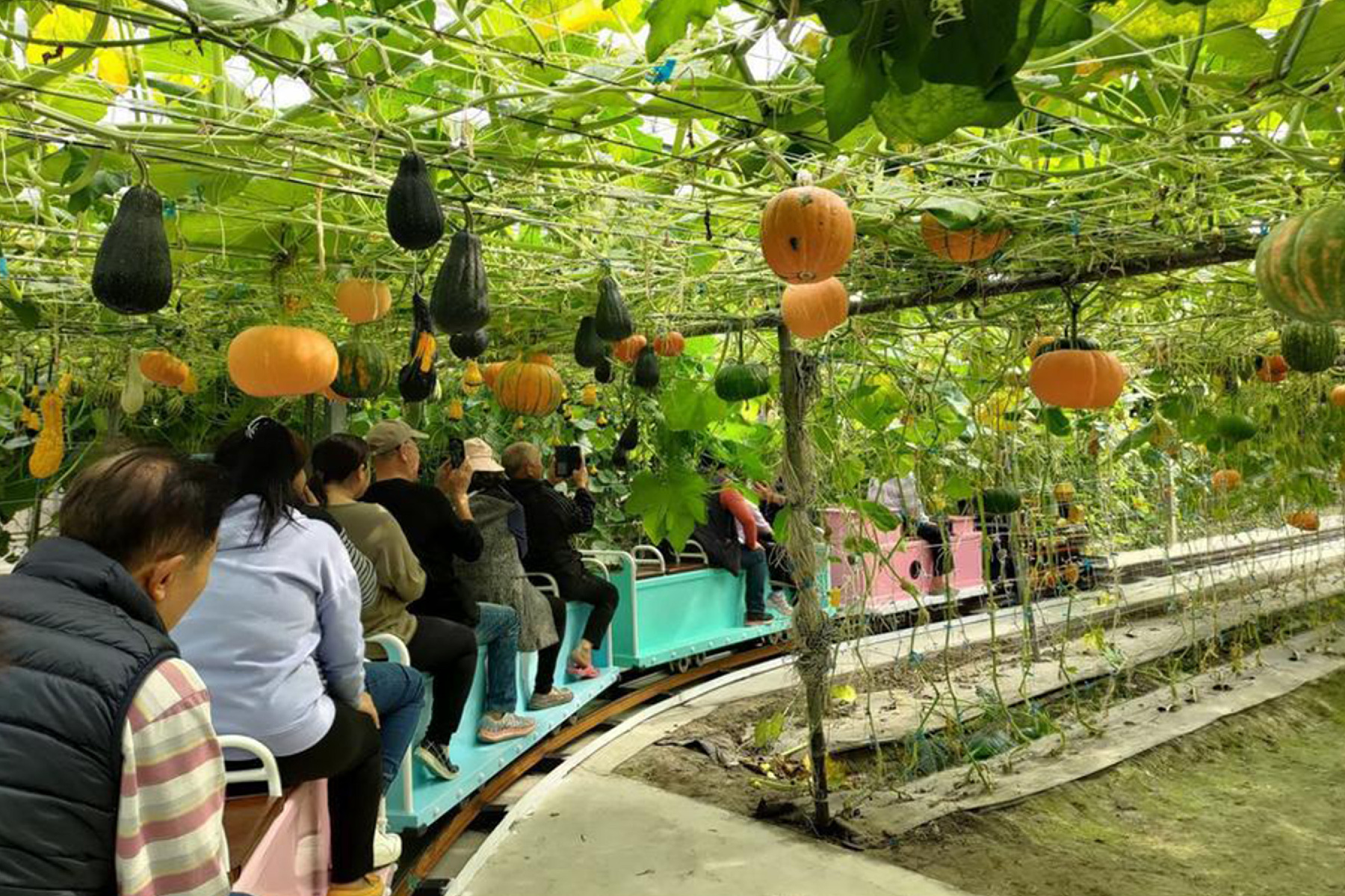 雲林農農體驗一日遊2
