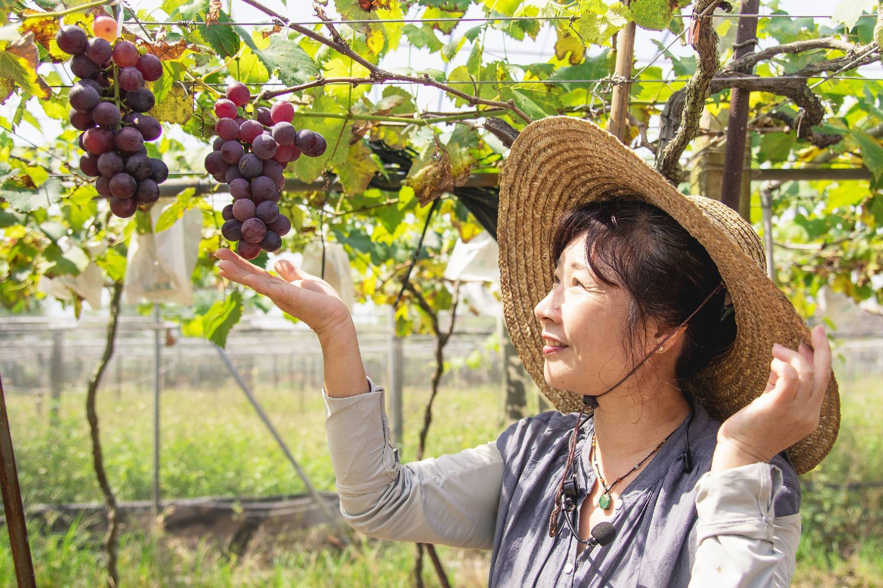 彰化奈米休閒農場-採果體驗券3