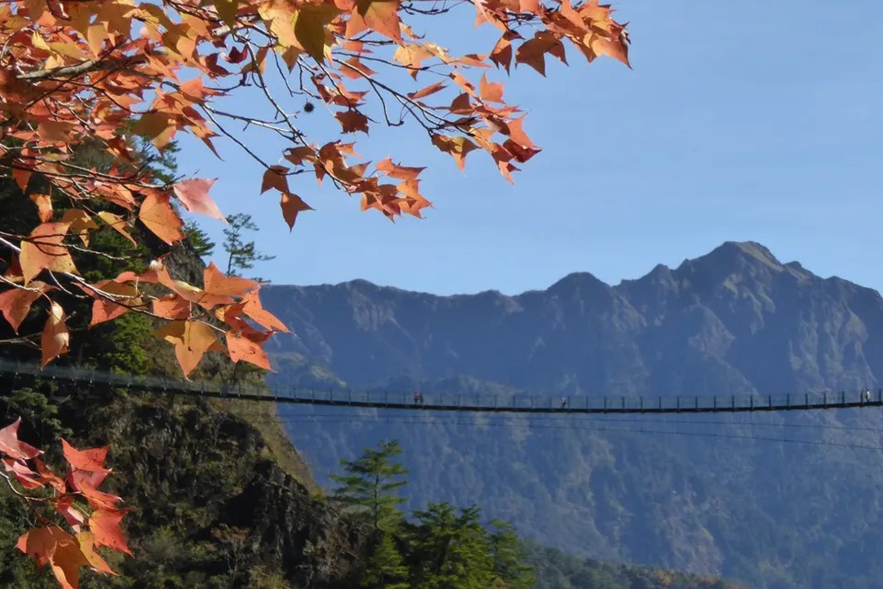 奧萬大追楓二日遊8