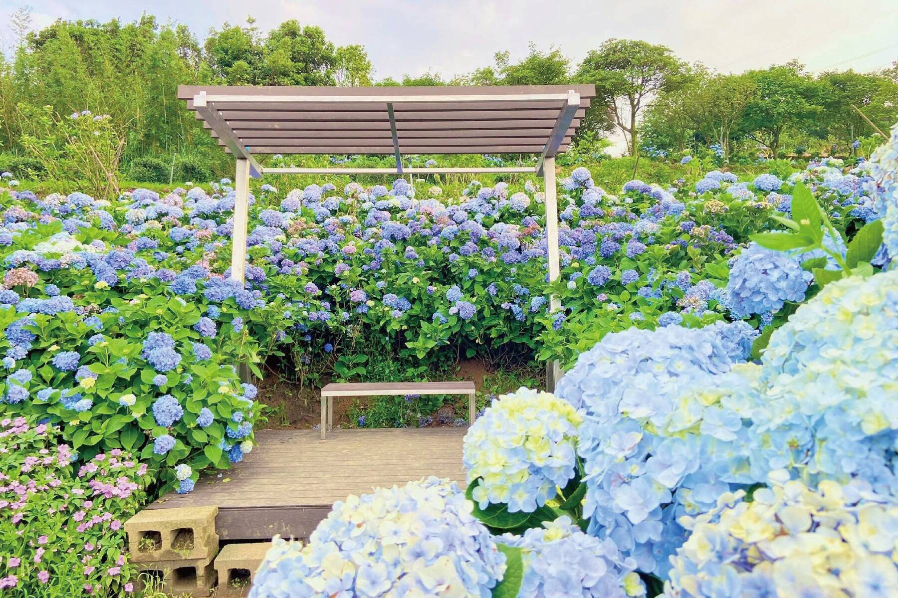 花現基隆嶼 二日遊3