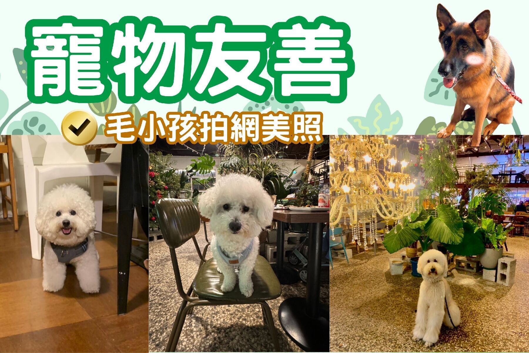廢溫室Greenhouse café-300元現金抵用券11